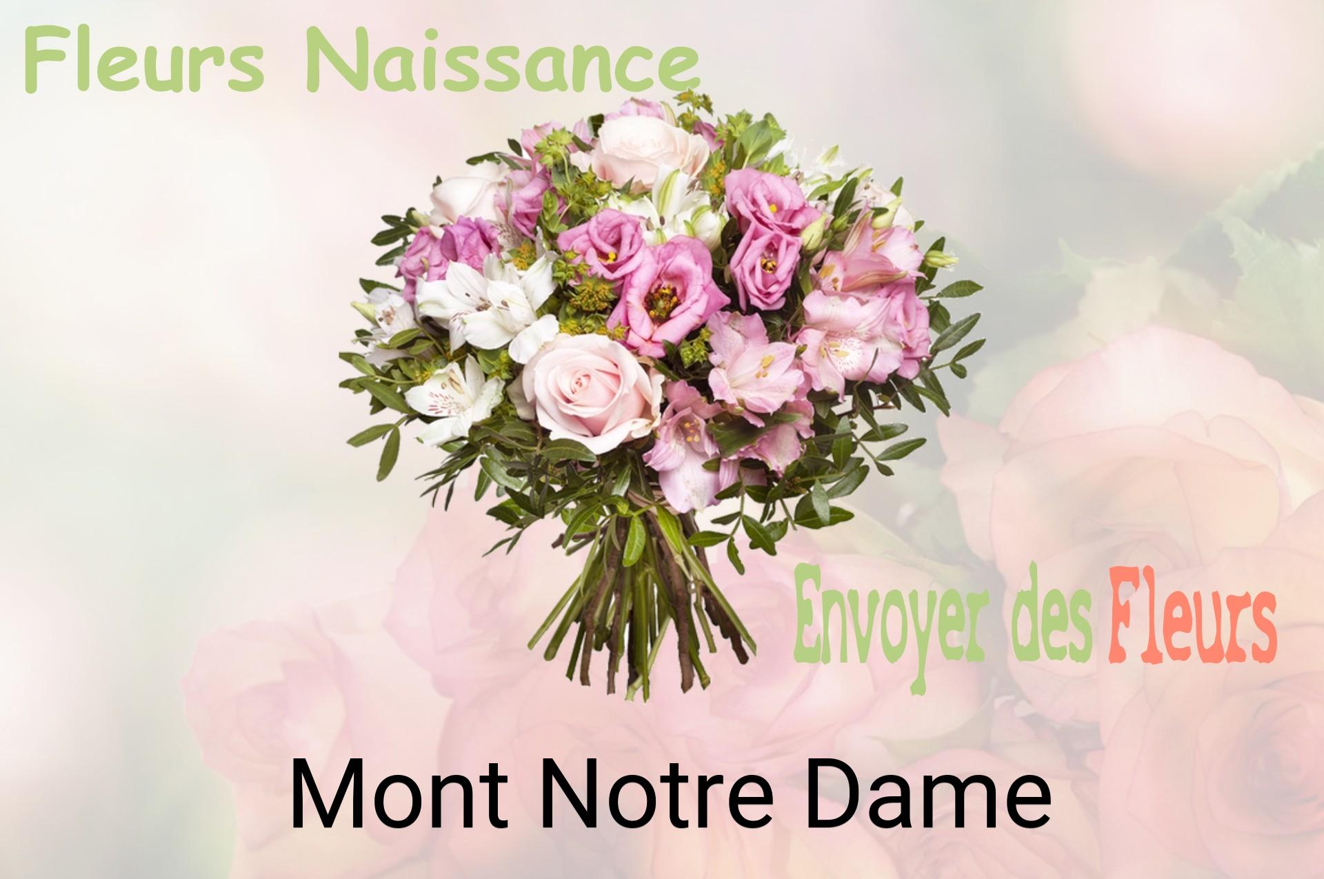 Bouquet de fleurs de naissance livré à Mont-Notre-Dame